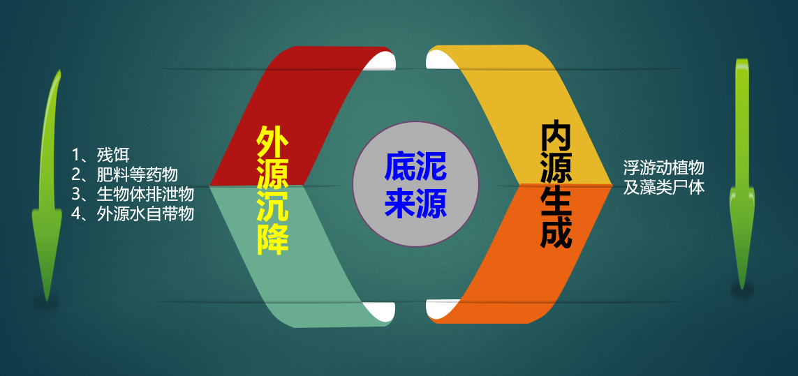 图1：底泥来源示意图.png